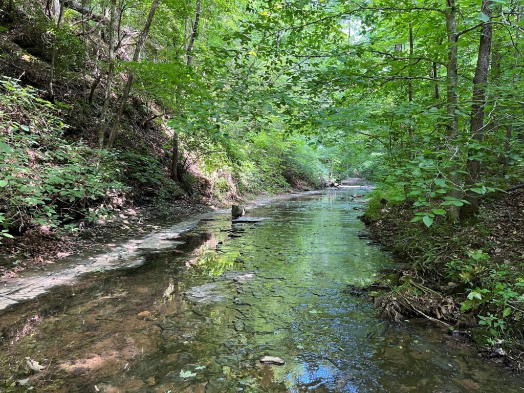 creek sitting